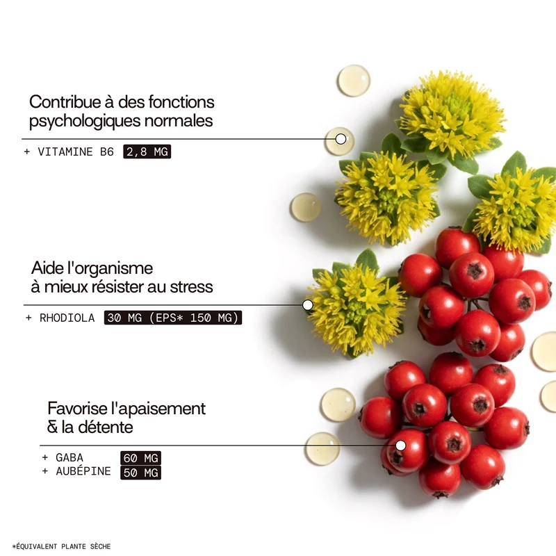 Pack 4 éco-recharges STRESS | Anti-stress et anxiété | 4 x 21 jours
