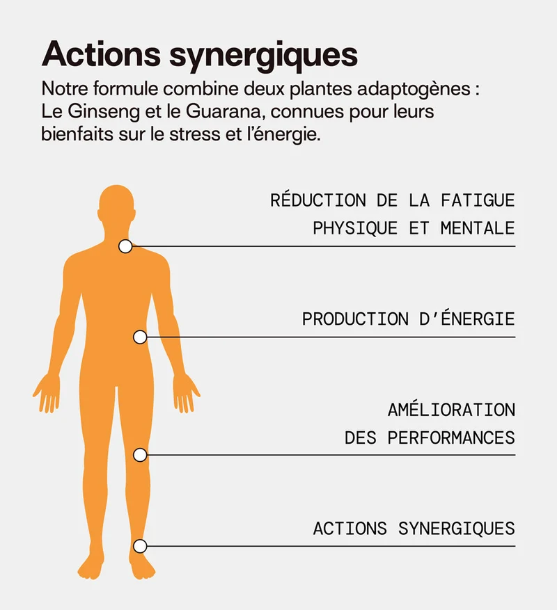 Pack 4 éco-recharges ÉNERGIE | Boost physique et mental | 4 x 21 jours