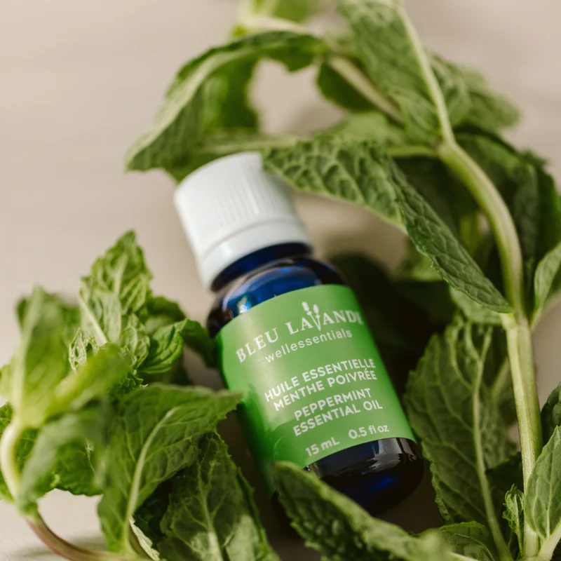 Les indispensables - Huiles essentielles pures