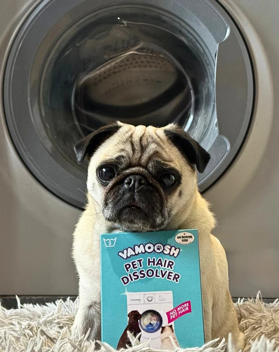 Vamoosh Dissolvant de poils d'animaux – Dissolvant de poils d'animaux pour machine à laver – Élimine les poils de chien et de chat des coussins, couvertures et serviettes pour animaux de compagnie