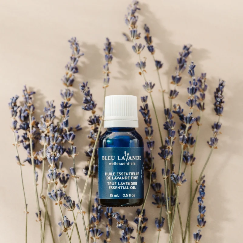 Ensemble lavande parfumée