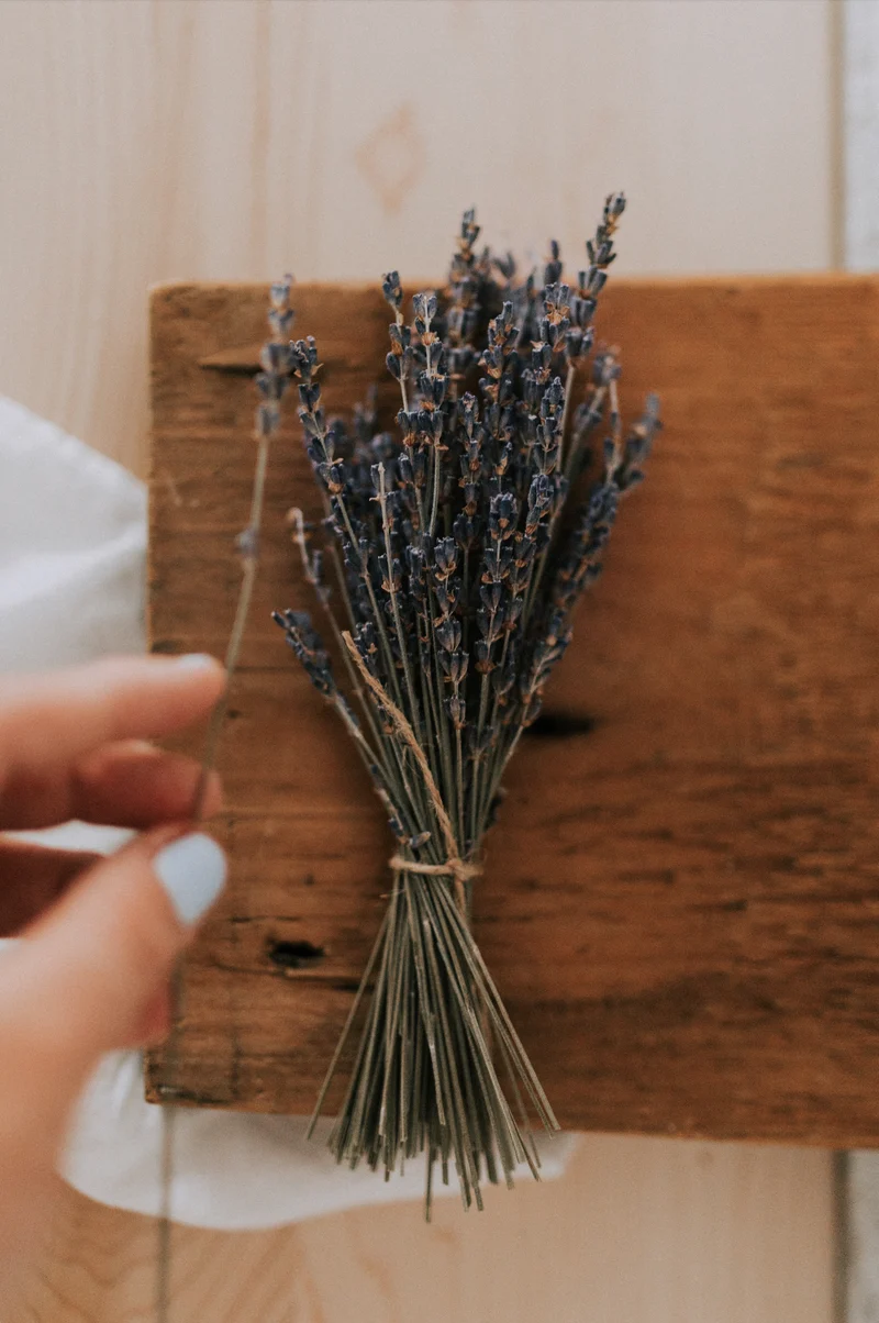 Bouquet de lavande séchée