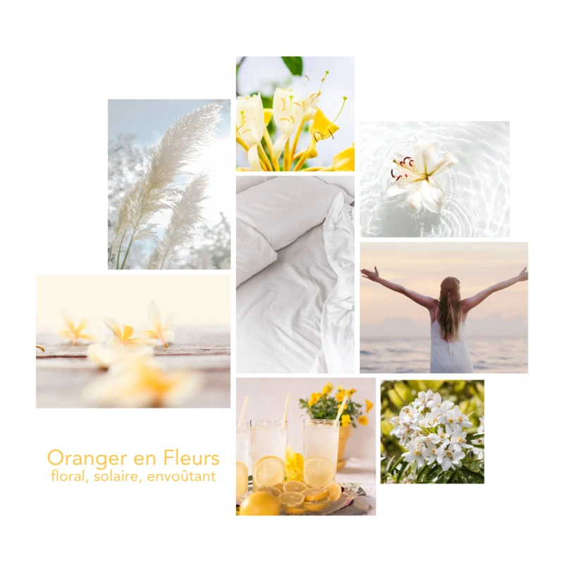 Parfum d'Ambiance - Oranger en Fleurs