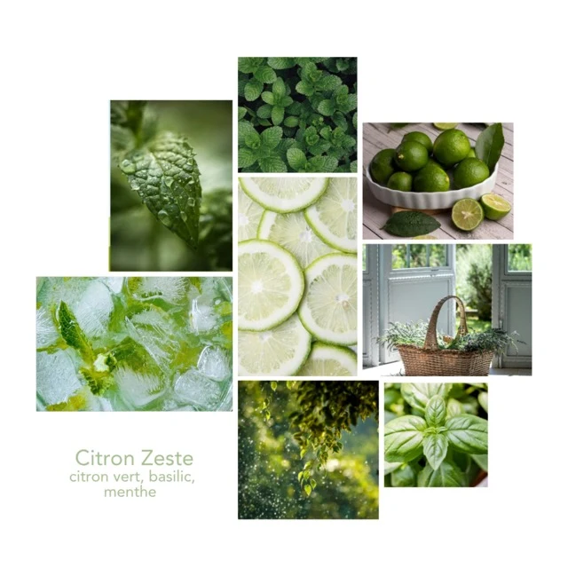 Nettoyant Multi-Surface - Citron Zeste