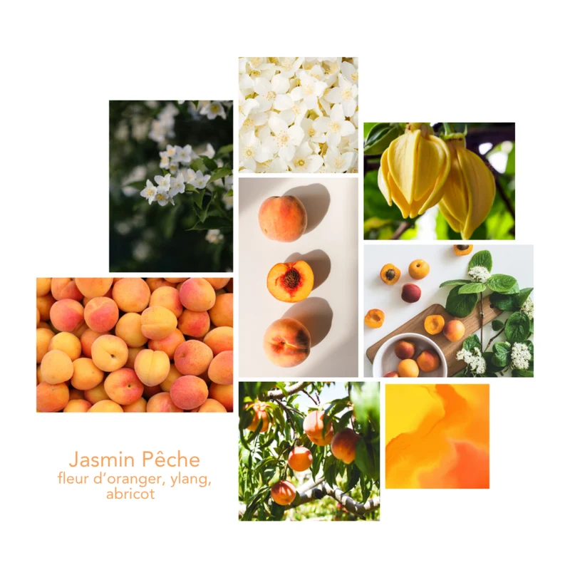 Nettoyant Multi-Surface - Jasmin Pêche