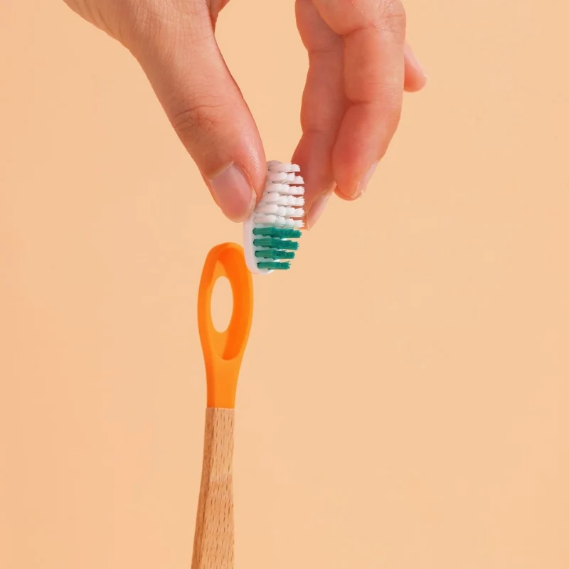 Têtes de Brosse à Dents (x3) (poils souples)