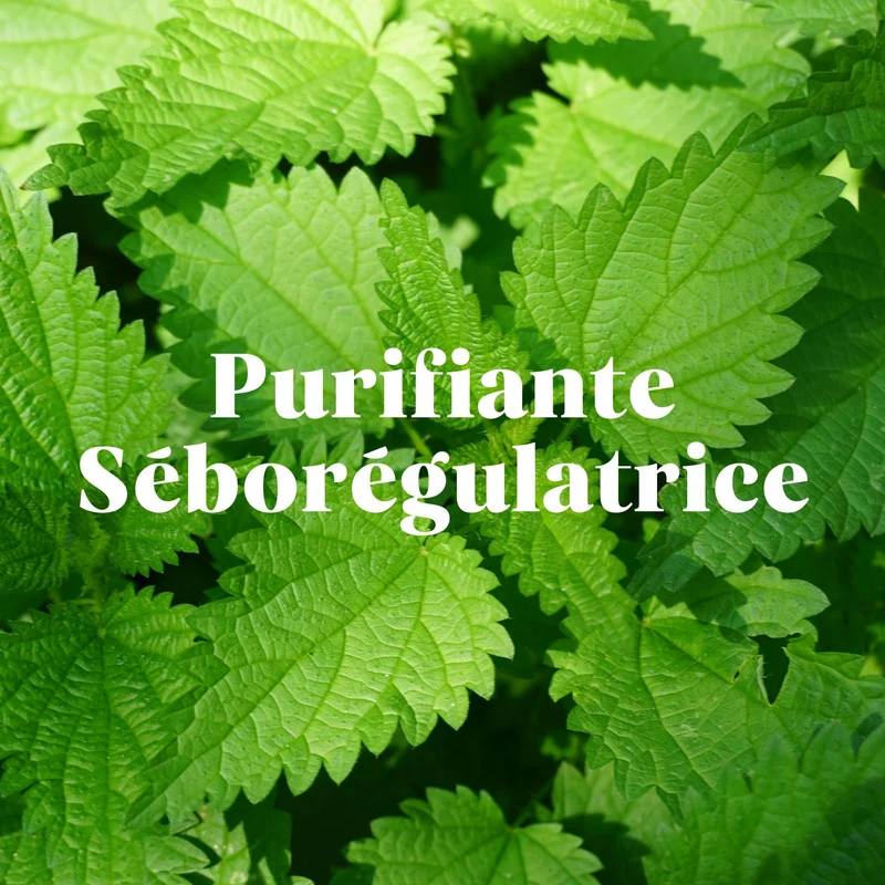 Kit Shampoing Purifiant