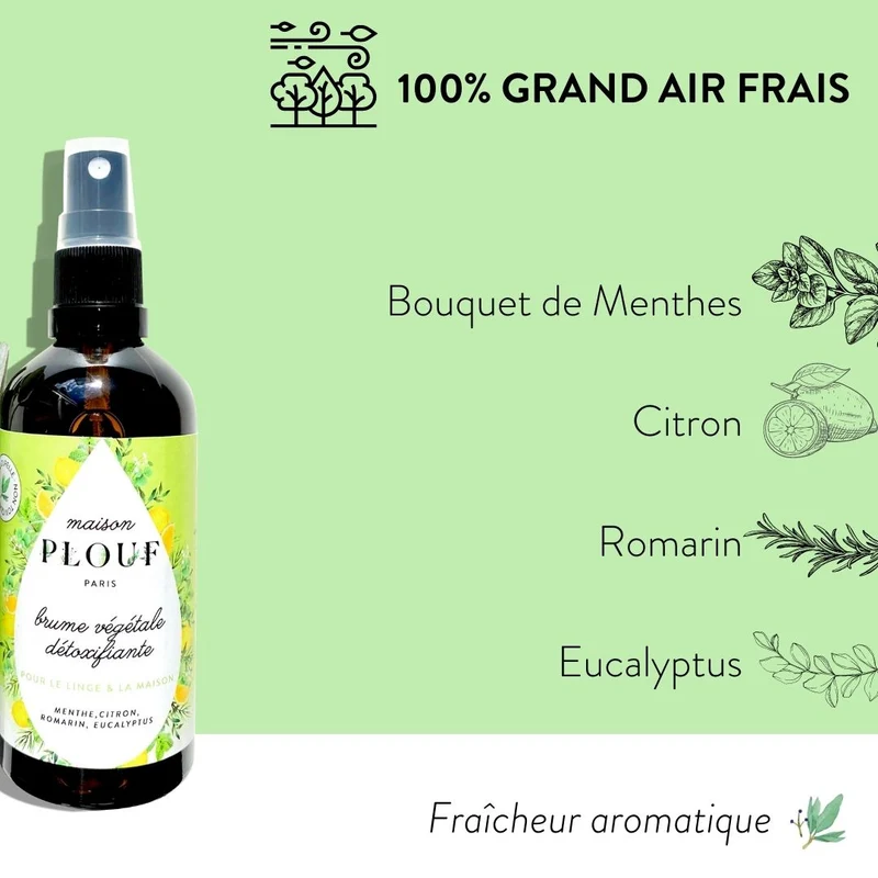 BRUME VÉGÉTALE DÉTOXIFIANTE 100ml