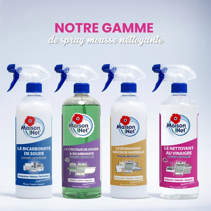 Vinaigre Ménager fruits rouges Mousse Active Multi Usages - 750ml