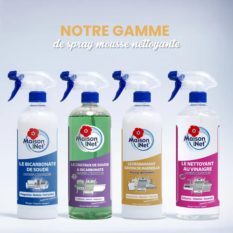 Dégraissant Marseille Mousse Active Multi Usages - 750ml