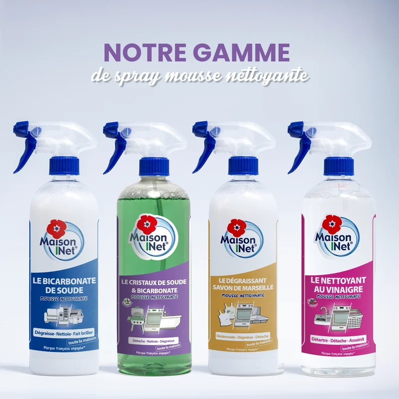 Spray Sesquicarbonate Mousse Active 750mL