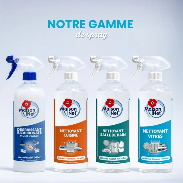 Spray Nettoyant vitres et miroirs 750ml