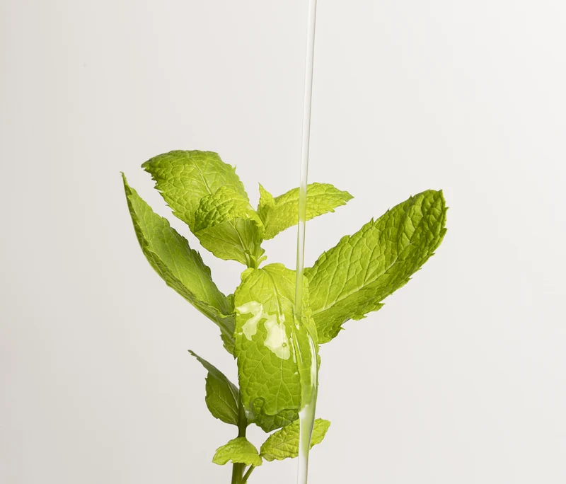 Liquide vaisselle menthe acidulée