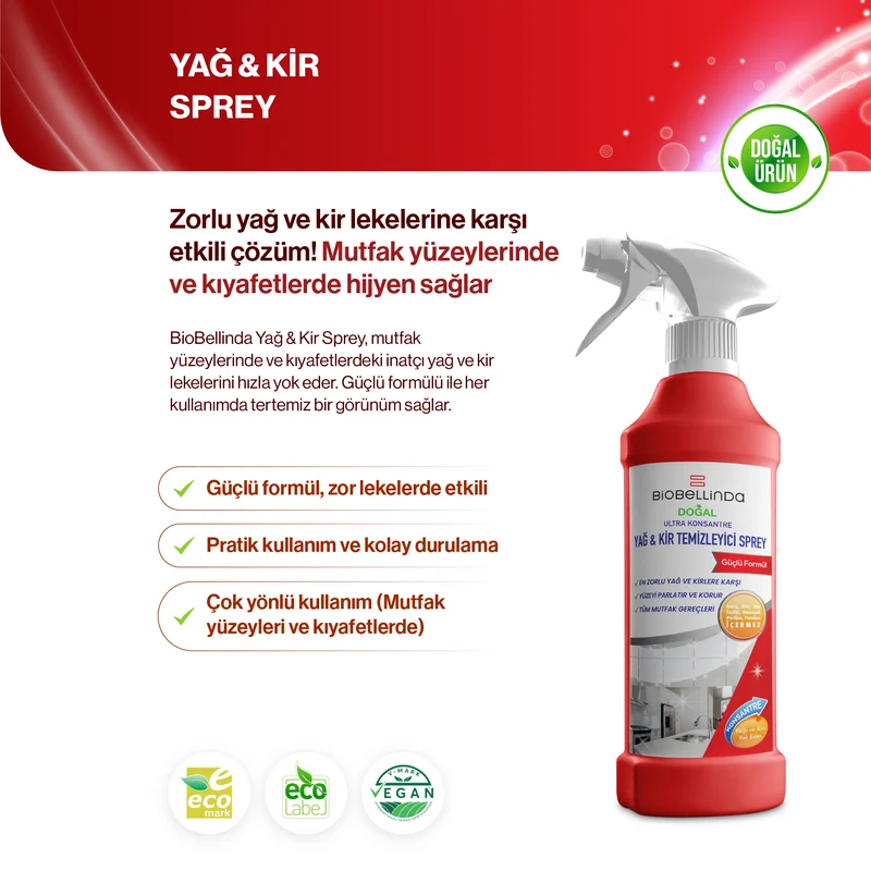 Fett- und Schmutz-Entferner Spray - BL283