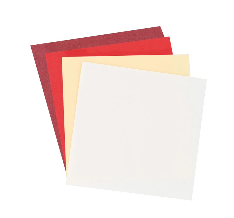 SERVIETTE 30X39CM OUATE TECHLINE 2 PLIS BLANC X2400