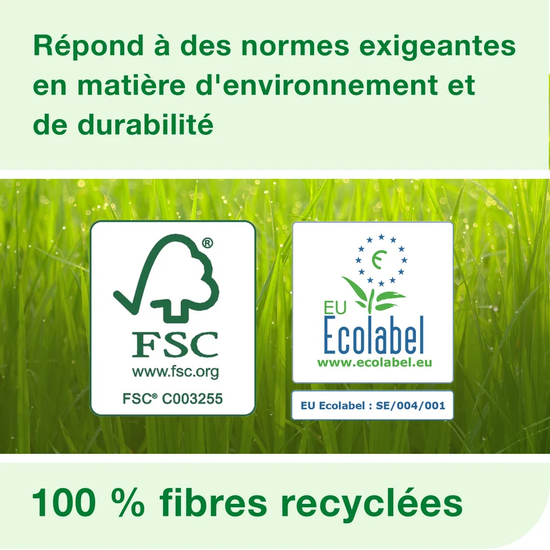 ESSUIE-MAINS ROULEAU TORK MATIC® ADVANCED H1 NATUREL 150M 2 PLIS X6