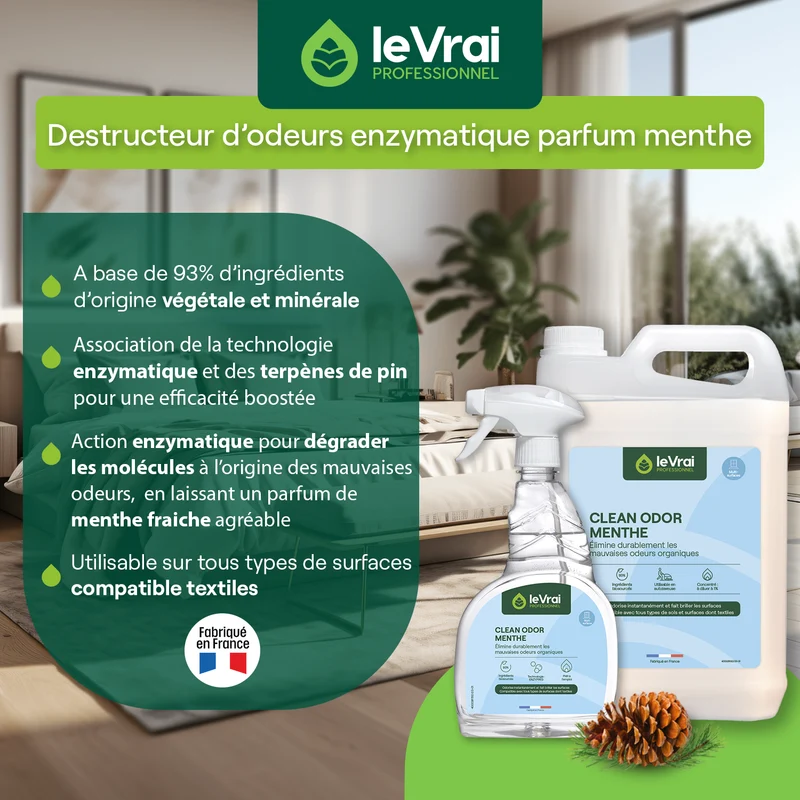NETTOYANT DESTRUCTEUR D'ODEUR CLEAN ODOR MENTHE LE VRAI PROFESSIONNEL5L